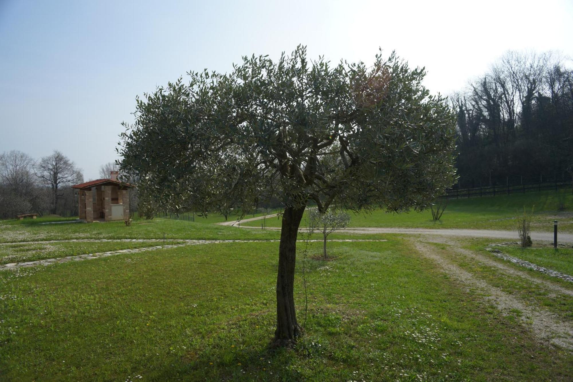 Nikolas' Valley Cornuda Exterior photo